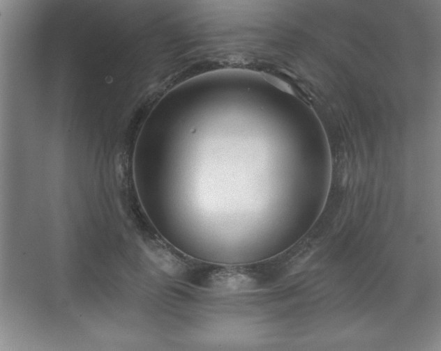 X0000071330747200606301600