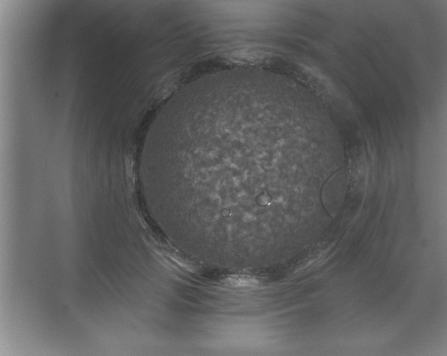 X0000071330749200606301600