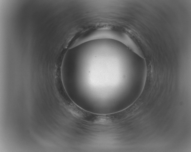 X0000071330750200606301600