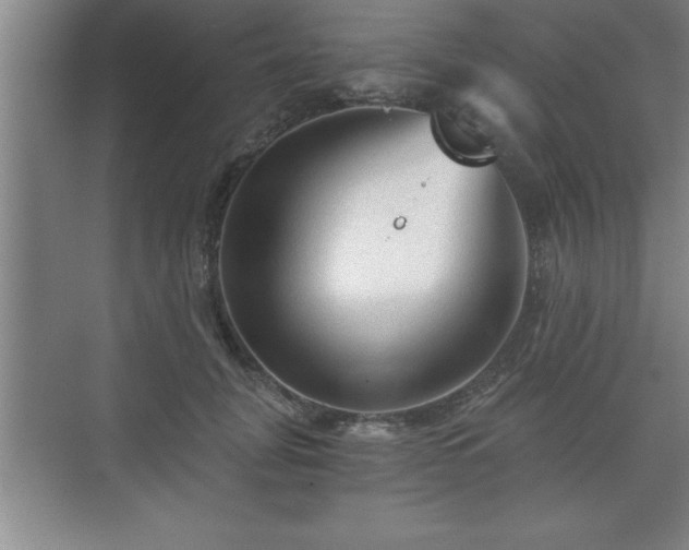 X0000071330751200606301600