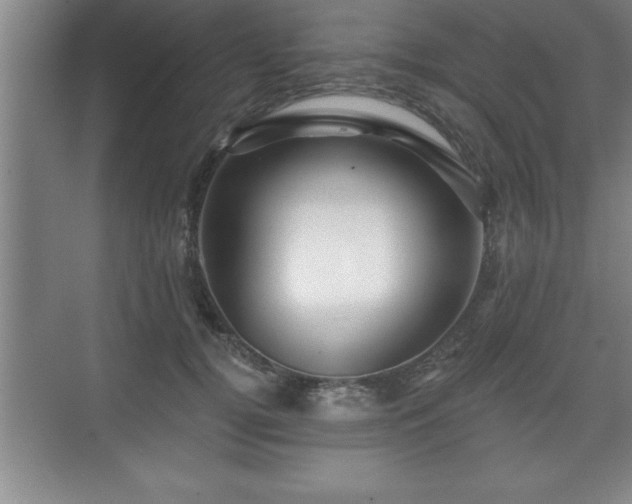 X0000071330752200606301600