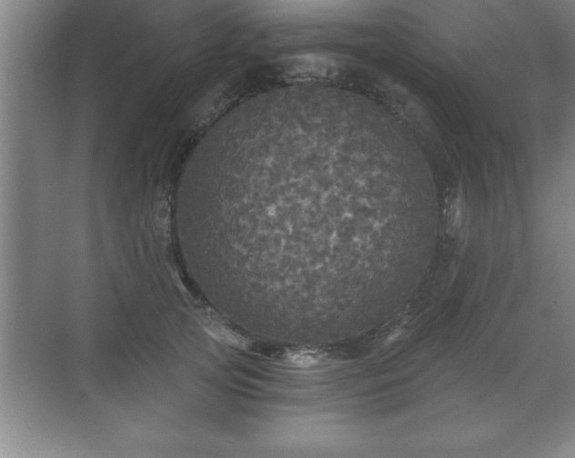 X0000071330753200606301600