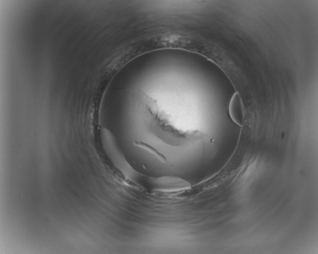 X0000071330754200606301600