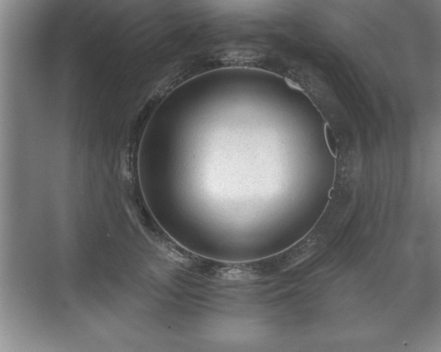 X0000071330755200606301600