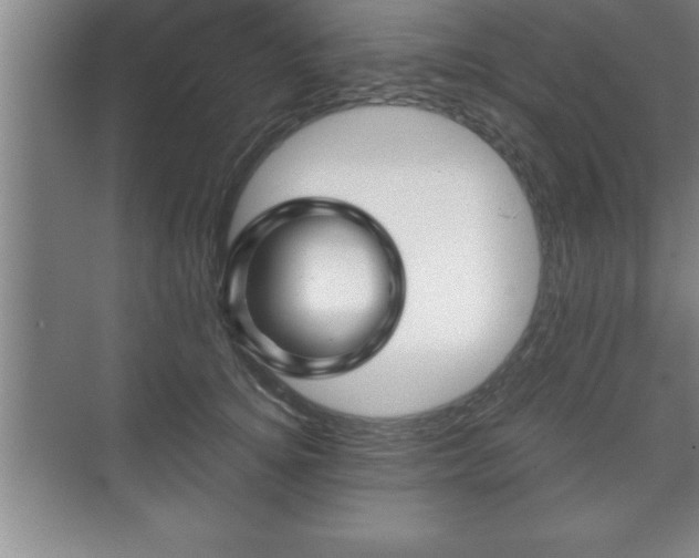 X0000071330756200606301600