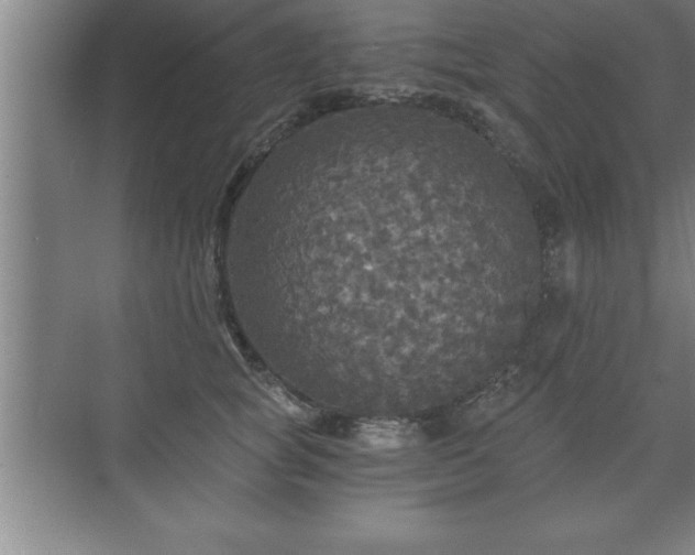 X0000071330757200606301600