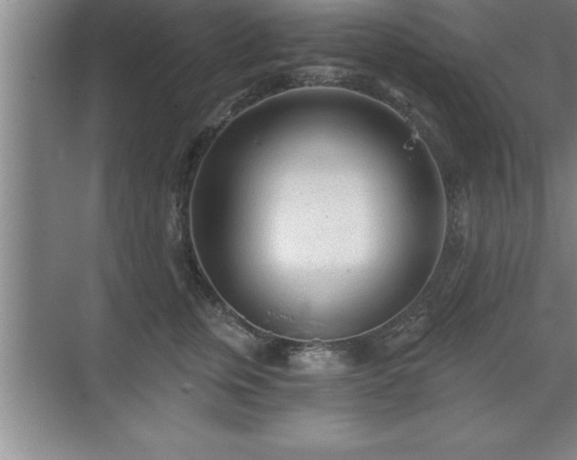 X0000071330759200606301600