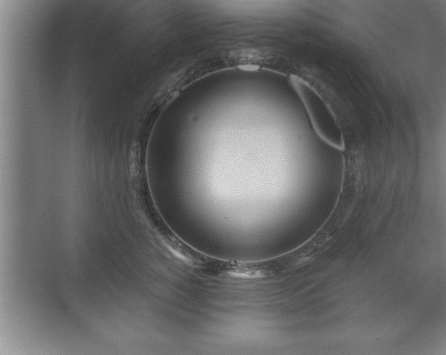 X0000071330760200606301600