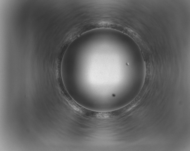 X0000071330762200606301600