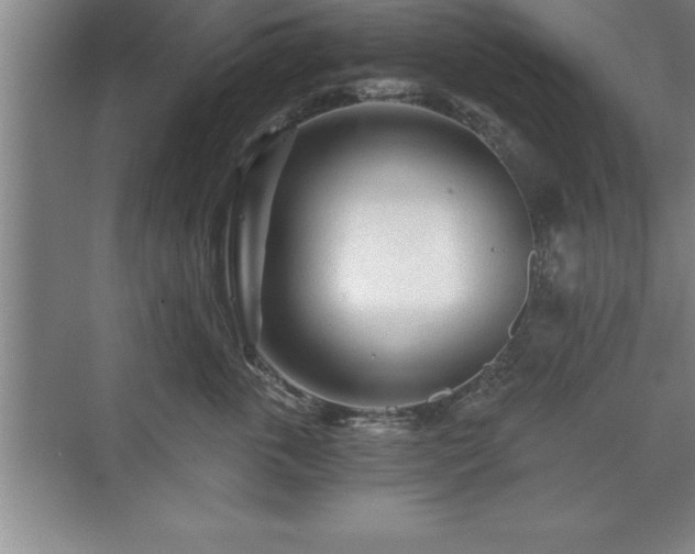 X0000071330763200606301600