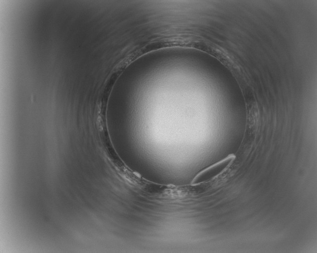 X0000071330764200606301600