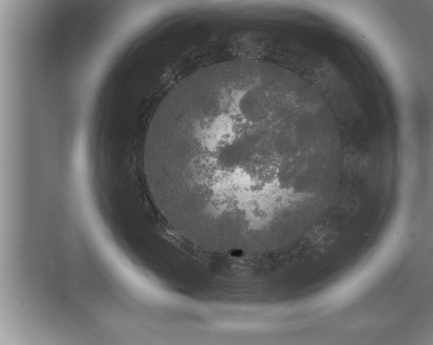 X0000071330765200606301600