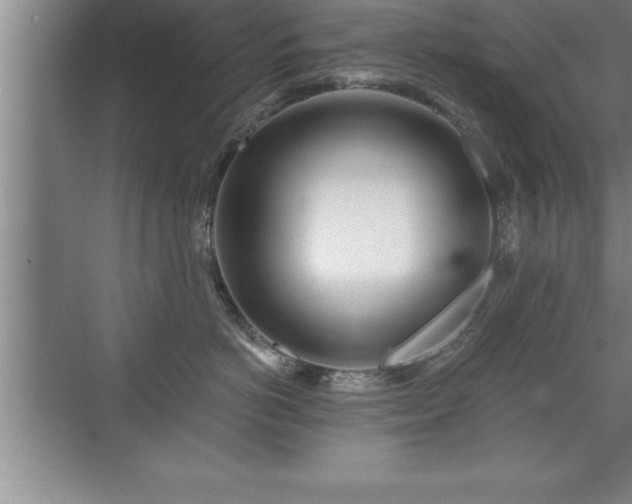 X0000071330766200606301600