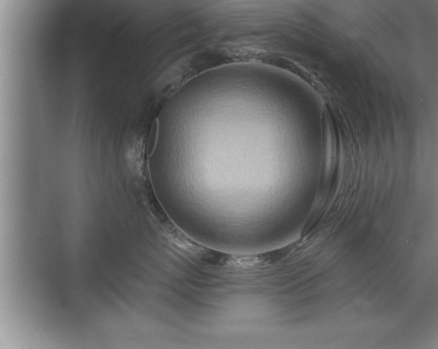 X0000071330767200606301600