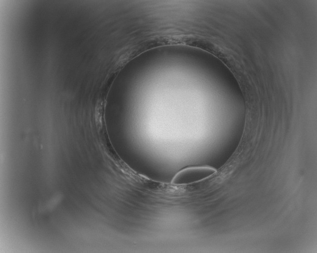 X0000071330768200606301600