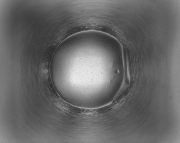 X0000071330771200606301600