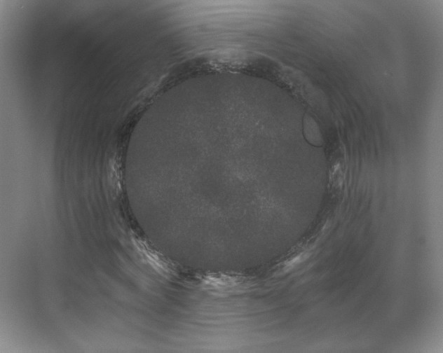 X0000071330772200606301600