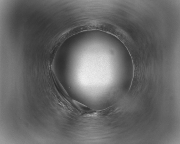 X0000071330773200606301600