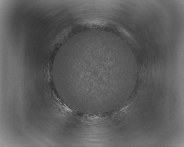 X0000071330774200606301559