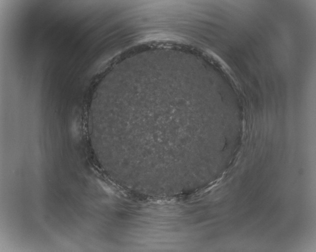 X0000071330775200606301559