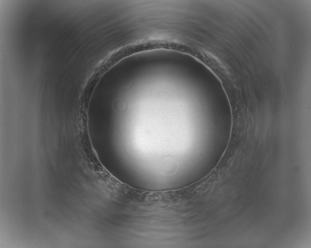 X0000071330776200606301559