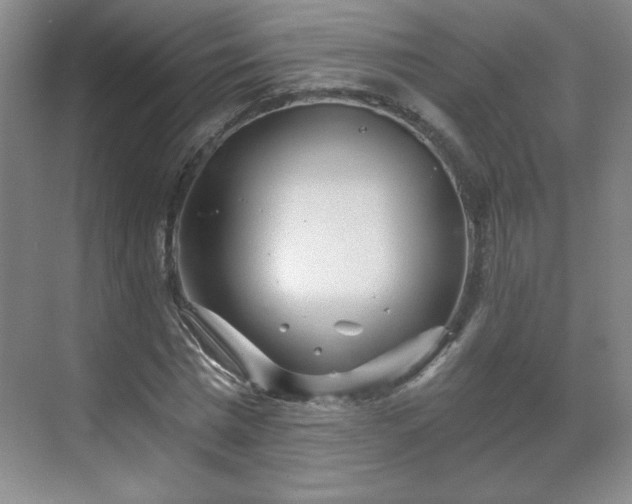 X0000071330777200606301559