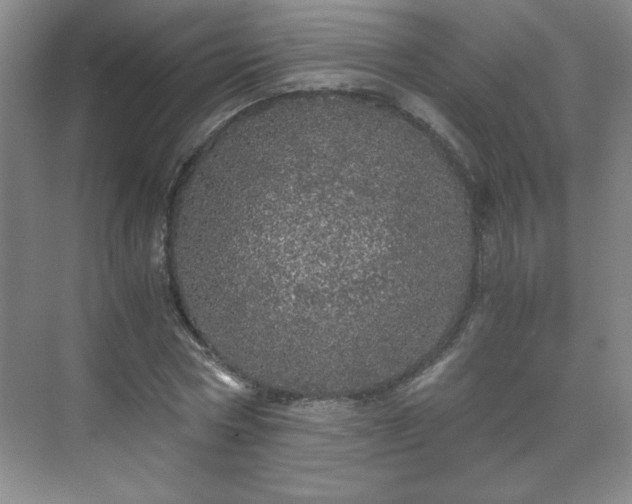 X0000071330778200606301559