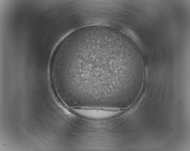 X0000071330780200606301559