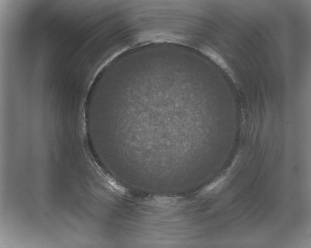 X0000071330782200606301559