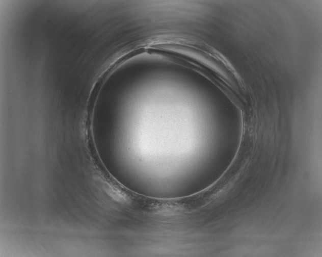 X0000071330786200606301559