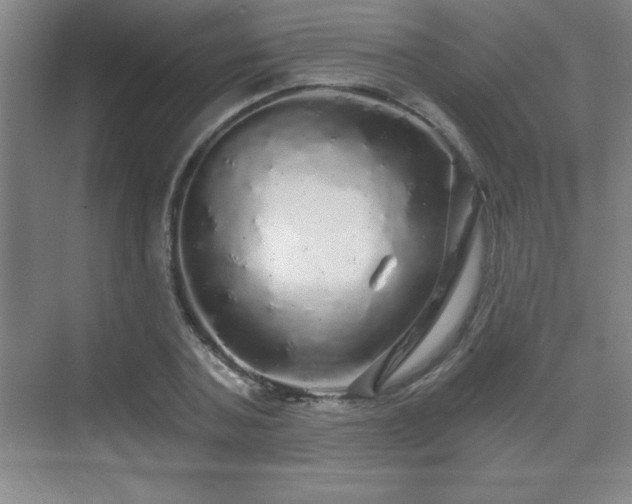 X0000071330787200606301559