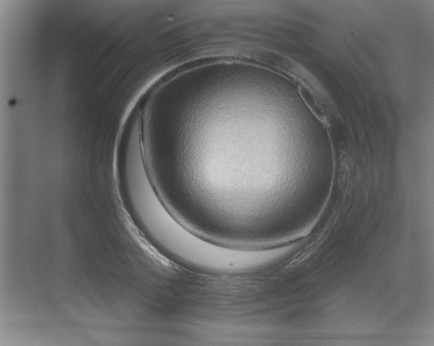 X0000071330788200606301559