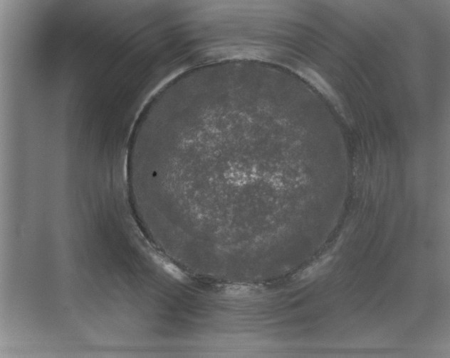 X0000071330790200606301559