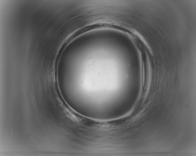 X0000071330791200606301559