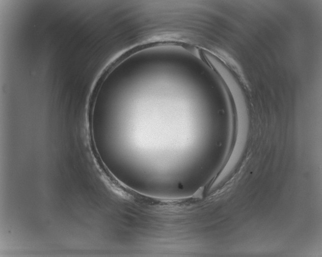 X0000071330792200606301559