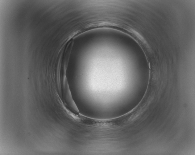 X0000071330793200606301559