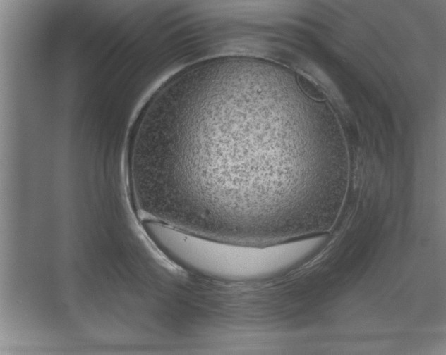 X0000071330796200606301559