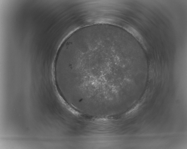 X0000071330798200606301559