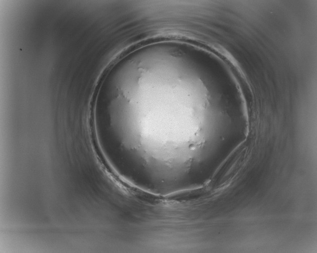 X0000071330799200606301559