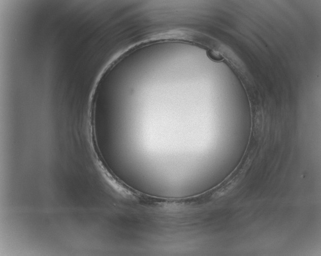 X0000071330800200606301559