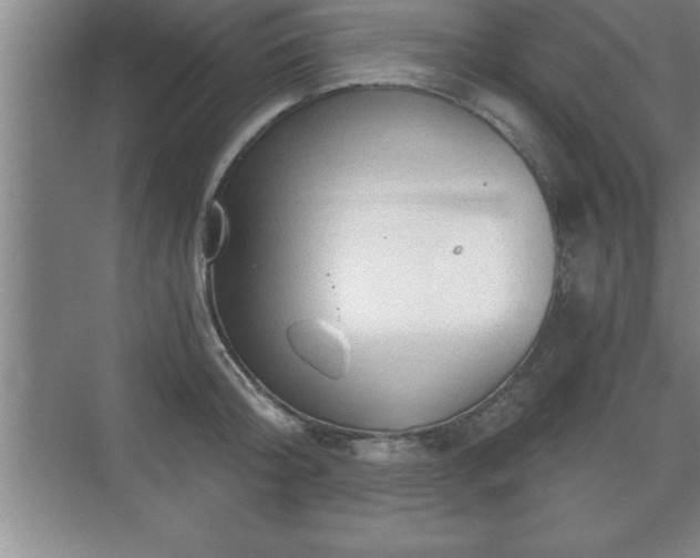 X0000071330804200606301559