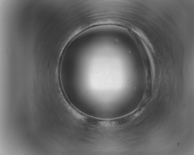 X0000071330805200606301559