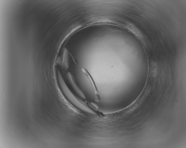 X0000071330806200606301559