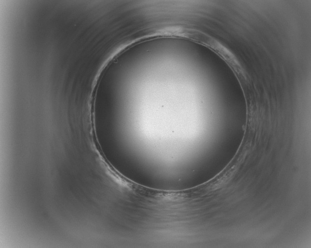 X0000071330808200606301559