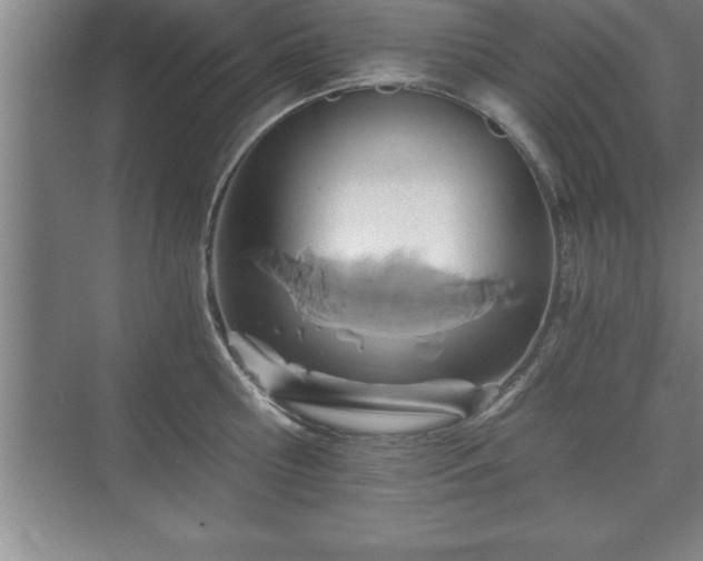 X0000071330810200606301559