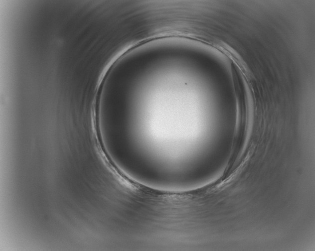 X0000071330812200606301559