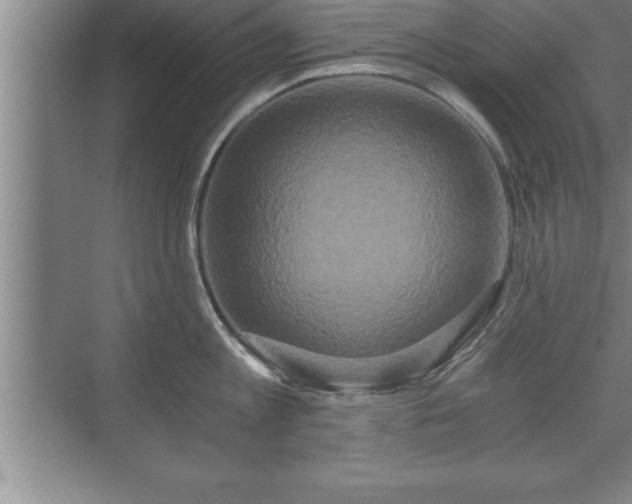 X0000071330813200606301559