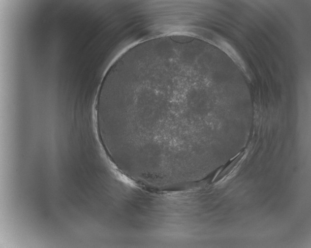 X0000071330814200606301559