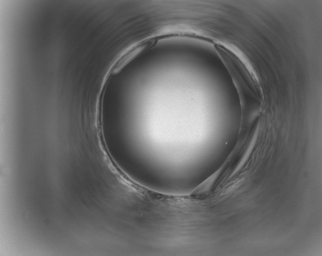 X0000071330815200606301559