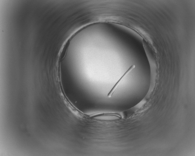 X0000071330816200606301559